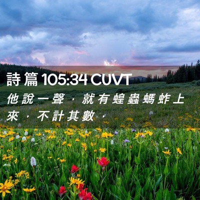 Picture 02 - 詩 篇 105:34 CUVT - 他 說 一 聲 ， 就 有 蝗 蟲 螞 蚱 上 - Bible Verse Picture