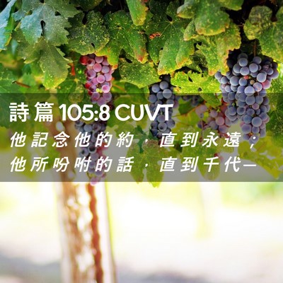 Picture 02 - 詩 篇 105:8 CUVT - 他 記 念 他 的 約 ， 直 到 永 遠 ； - Bible Verse Picture