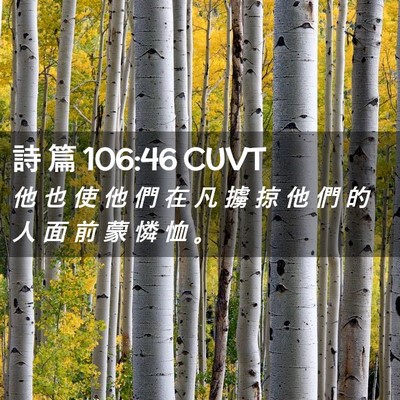 Picture 02 - 詩 篇 106:46 CUVT - 他 也 使 他 們 在 凡 擄 掠 他 們 的 - Bible Verse Picture