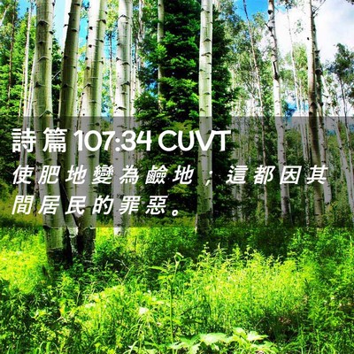Picture 02 - 詩 篇 107:34 CUVT - 使 肥 地 變 為 鹼 地 ； 這 都 因 其 - Bible Verse Picture