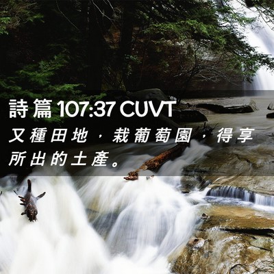 Picture 02 - 詩 篇 107:37 CUVT - 又 種 田 地 ， 栽 葡 萄 園 ， 得 享 - Bible Verse Picture
