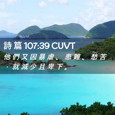 Picture 02 - 詩 篇 107:39 CUVT - 他 們 又 因 暴 虐 、 患 難 、 愁 苦 - Bible Verse Picture