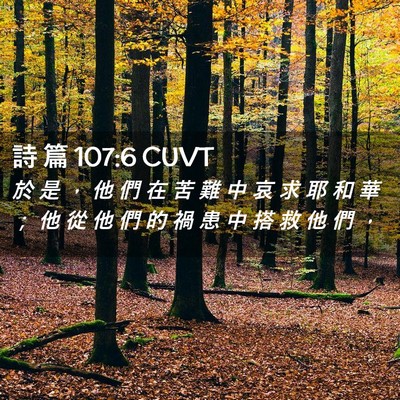 Picture 02 - 詩 篇 107:6 CUVT - 於 是 ， 他 們 在 苦 難 中 哀 求 耶 - Bible Verse Picture