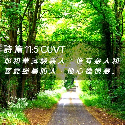 Picture 02 - 詩 篇 11:5 CUVT - 耶 和 華 試 驗 義 人 ； 惟 有 惡 人 - Bible Verse Picture
