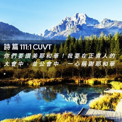 Picture 02 - 詩 篇 111:1 CUVT - 你 們 要 讚 美 耶 和 華 ！ 我 要 在 - Bible Verse Picture