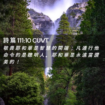 Picture 02 - 詩 篇 111:10 CUVT - 敬 畏 耶 和 華 是 智 慧 的 開 端 ； - Bible Verse Picture