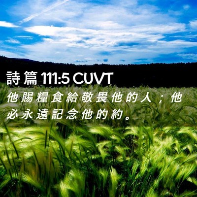 Picture 02 - 詩 篇 111:5 CUVT - 他 賜 糧 食 給 敬 畏 他 的 人 ； 他 - Bible Verse Picture