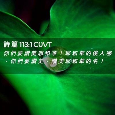 Picture 02 - 詩 篇 113:1 CUVT - 你 們 要 讚 美 耶 和 華 ！ 耶 和 華 - Bible Verse Picture