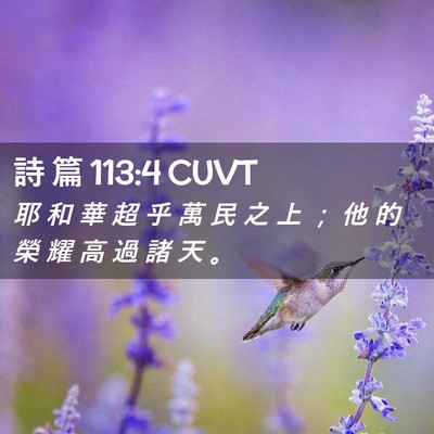 Picture 02 - 詩 篇 113:4 CUVT - 耶 和 華 超 乎 萬 民 之 上 ； 他 的 - Bible Verse Picture