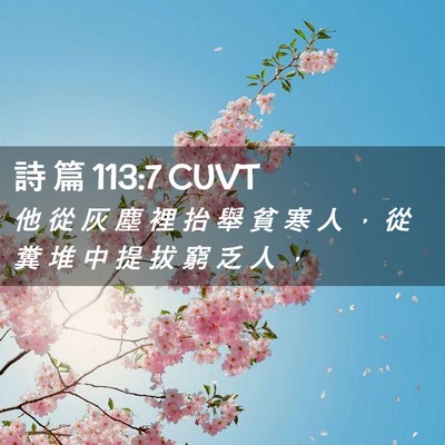 Picture 02 - 詩 篇 113:7 CUVT - 他 從 灰 塵 裡 抬 舉 貧 寒 人 ， 從 - Bible Verse Picture