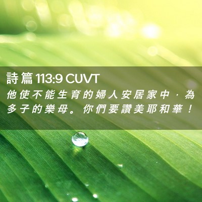 Picture 02 - 詩 篇 113:9 CUVT - 他 使 不 能 生 育 的 婦 人 安 居 家 - Bible Verse Picture