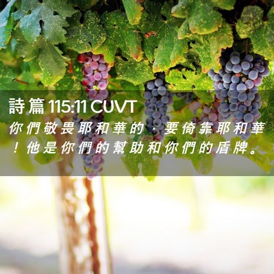Picture 02 - 詩 篇 115:11 CUVT - 你 們 敬 畏 耶 和 華 的 ， 要 倚 靠 - Bible Verse Picture