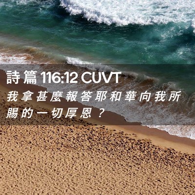 Picture 02 - 詩 篇 116:12 CUVT - 我 拿 甚 麼 報 答 耶 和 華 向 我 所 - Bible Verse Picture