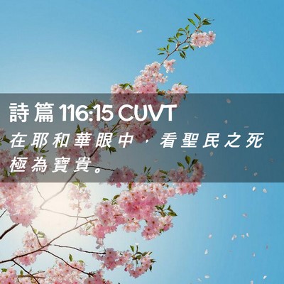 Picture 02 - 詩 篇 116:15 CUVT - 在 耶 和 華 眼 中 ， 看 聖 民 之 死 - Bible Verse Picture