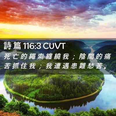 Picture 02 - 詩 篇 116:3 CUVT - 死 亡 的 繩 索 纏 繞 我 ； 陰 間 的 - Bible Verse Picture