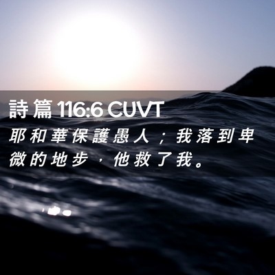 Picture 02 - 詩 篇 116:6 CUVT - 耶 和 華 保 護 愚 人 ； 我 落 到 卑 - Bible Verse Picture