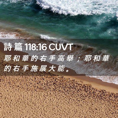 Picture 02 - 詩 篇 118:16 CUVT - 耶 和 華 的 右 手 高 舉 ； 耶 和 華 - Bible Verse Picture