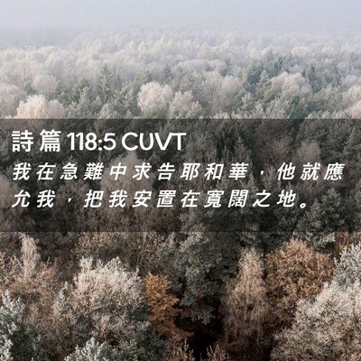 Picture 02 - 詩 篇 118:5 CUVT - 我 在 急 難 中 求 告 耶 和 華 ， 他 - Bible Verse Picture