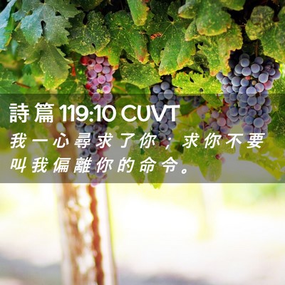 Picture 02 - 詩 篇 119:10 CUVT - 我 一 心 尋 求 了 你 ； 求 你 不 要 - Bible Verse Picture