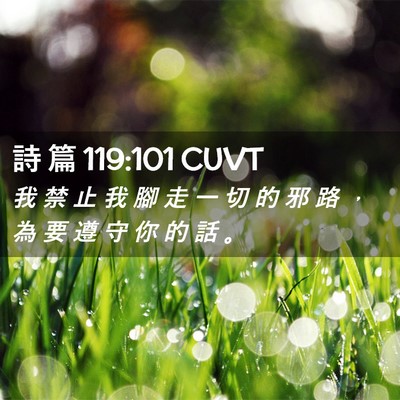 Picture 02 - 詩 篇 119:101 CUVT - 我 禁 止 我 腳 走 一 切 的 邪 路 ， - Bible Verse Picture