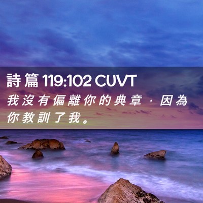Picture 02 - 詩 篇 119:102 CUVT - 我 沒 有 偏 離 你 的 典 章 ， 因 為 - Bible Verse Picture