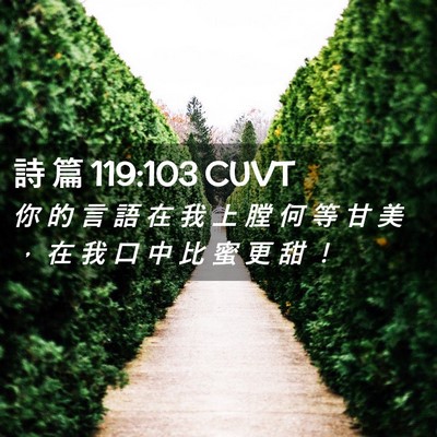 Picture 02 - 詩 篇 119:103 CUVT - 你 的 言 語 在 我 上 膛 何 等 甘 美 - Bible Verse Picture