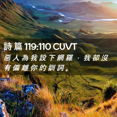Picture 02 - 詩 篇 119:110 CUVT - 惡 人 為 我 設 下 網 羅 ， 我 卻 沒 - Bible Verse Picture