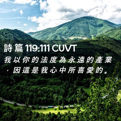 Picture 02 - 詩 篇 119:111 CUVT - 我 以 你 的 法 度 為 永 遠 的 產 業 - Bible Verse Picture