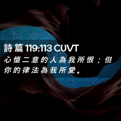 Picture 02 - 詩 篇 119:113 CUVT - 心 懷 二 意 的 人 為 我 所 恨 ； 但 - Bible Verse Picture