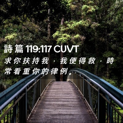 Picture 02 - 詩 篇 119:117 CUVT - 求 你 扶 持 我 ， 我 便 得 救 ， 時 - Bible Verse Picture