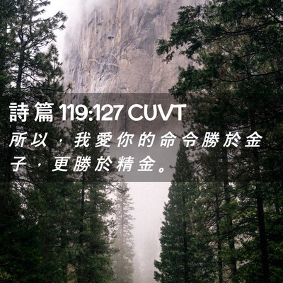 Picture 02 - 詩 篇 119:127 CUVT - 所 以 ， 我 愛 你 的 命 令 勝 於 金 - Bible Verse Picture