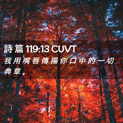 Picture 02 - 詩 篇 119:13 CUVT - 我 用 嘴 唇 傳 揚 你 口 中 的 一 切 - Bible Verse Picture