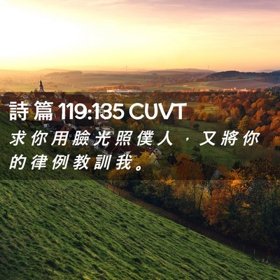 Picture 02 - 詩 篇 119:135 CUVT - 求 你 用 臉 光 照 僕 人 ， 又 將 你 - Bible Verse Picture
