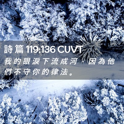 Picture 02 - 詩 篇 119:136 CUVT - 我 的 眼 淚 下 流 成 河 ， 因 為 他 - Bible Verse Picture