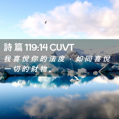 Picture 02 - 詩 篇 119:14 CUVT - 我 喜 悅 你 的 法 度 ， 如 同 喜 悅 - Bible Verse Picture