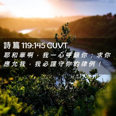 Picture 02 - 詩 篇 119:145 CUVT - 耶 和 華 啊 ， 我 一 心 呼 籲 你 ； - Bible Verse Picture
