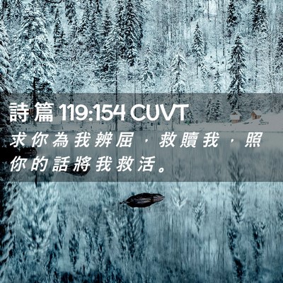 Picture 02 - 詩 篇 119:154 CUVT - 求 你 為 我 辨 屈 ， 救 贖 我 ， 照 - Bible Verse Picture