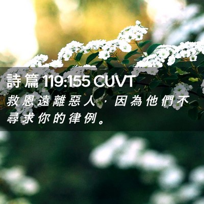 Picture 02 - 詩 篇 119:155 CUVT - 救 恩 遠 離 惡 人 ， 因 為 他 們 不 - Bible Verse Picture