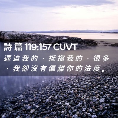 Picture 02 - 詩 篇 119:157 CUVT - 逼 迫 我 的 ， 抵 擋 我 的 ， 很 多 - Bible Verse Picture