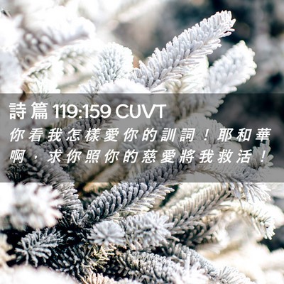 Picture 02 - 詩 篇 119:159 CUVT - 你 看 我 怎 樣 愛 你 的 訓 詞 ！ 耶 - Bible Verse Picture