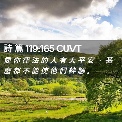 Picture 02 - 詩 篇 119:165 CUVT - 愛 你 律 法 的 人 有 大 平 安 ， 甚 - Bible Verse Picture