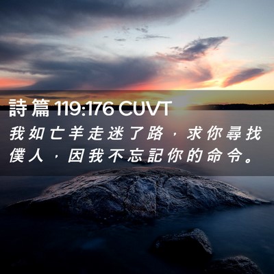 Picture 02 - 詩 篇 119:176 CUVT - 我 如 亡 羊 走 迷 了 路 ， 求 你 尋 - Bible Verse Picture