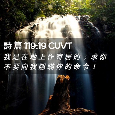 Picture 02 - 詩 篇 119:19 CUVT - 我 是 在 地 上 作 寄 居 的 ； 求 你 - Bible Verse Picture
