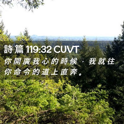 Picture 02 - 詩 篇 119:32 CUVT - 你 開 廣 我 心 的 時 候 ， 我 就 往 - Bible Verse Picture