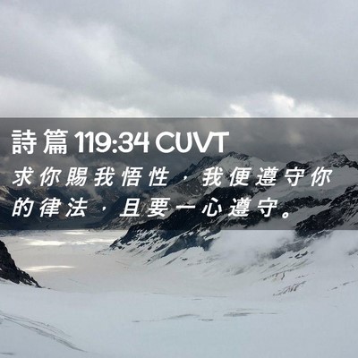 Picture 02 - 詩 篇 119:34 CUVT - 求 你 賜 我 悟 性 ， 我 便 遵 守 你 - Bible Verse Picture