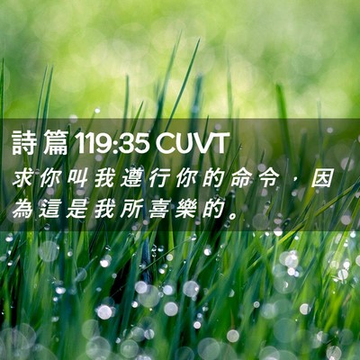 Picture 02 - 詩 篇 119:35 CUVT - 求 你 叫 我 遵 行 你 的 命 令 ， 因 - Bible Verse Picture