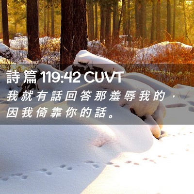 Picture 02 - 詩 篇 119:42 CUVT - 我 就 有 話 回 答 那 羞 辱 我 的 ， - Bible Verse Picture