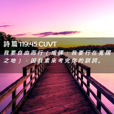Picture 02 - 詩 篇 119:45 CUVT - 我 要 自 由 而 行 （ 或 譯 ： 我 要 - Bible Verse Picture