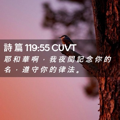 Picture 02 - 詩 篇 119:55 CUVT - 耶 和 華 啊 ， 我 夜 間 記 念 你 的 - Bible Verse Picture