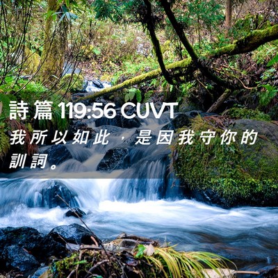 Picture 02 - 詩 篇 119:56 CUVT - 我 所 以 如 此 ， 是 因 我 守 你 的 - Bible Verse Picture